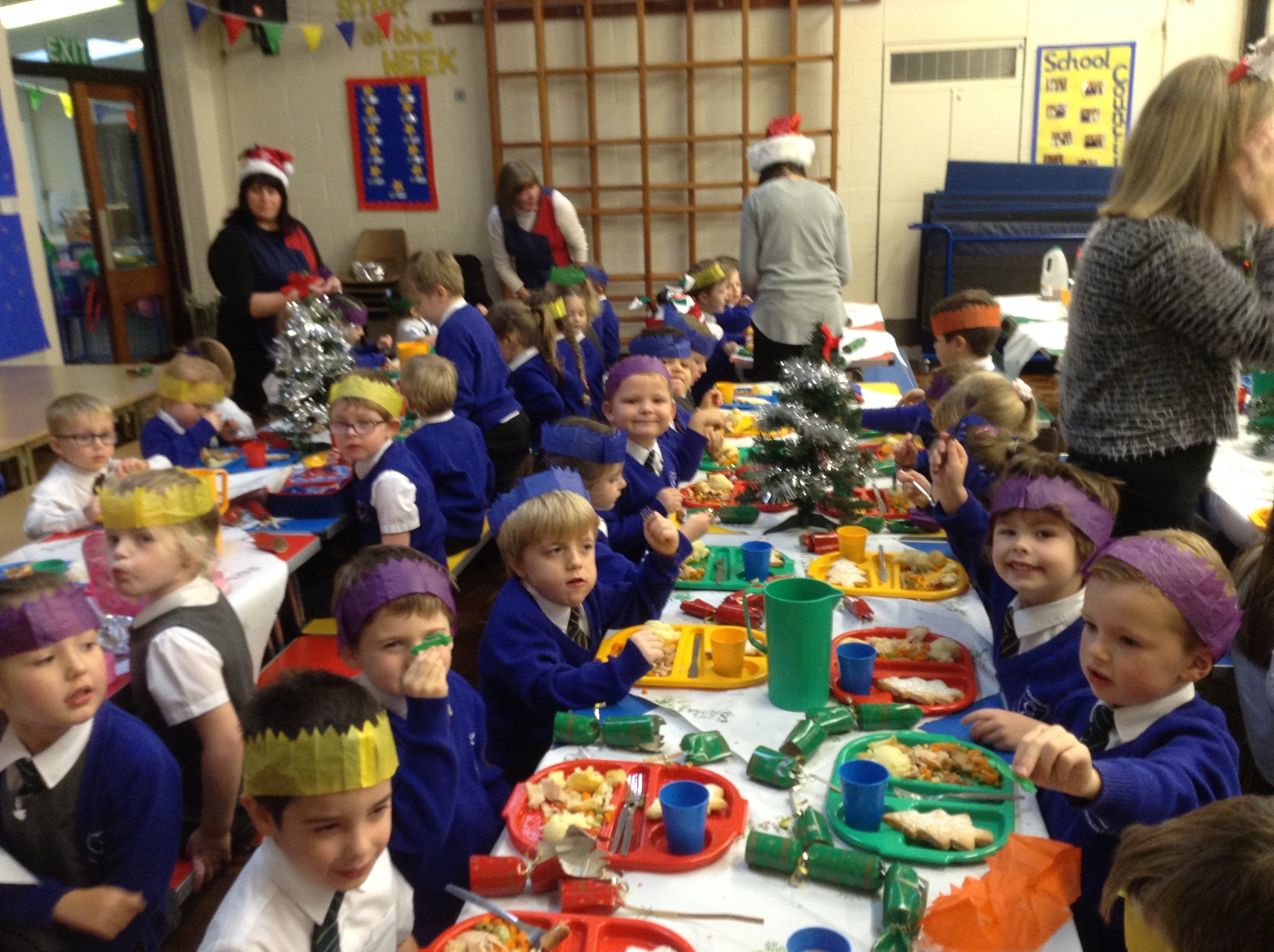 Image of Ducklings enjoy their Christmas dinner